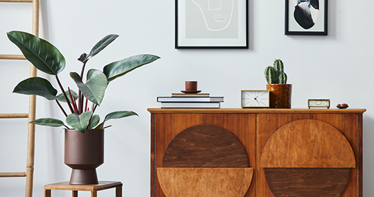 single-blog-tab-img9